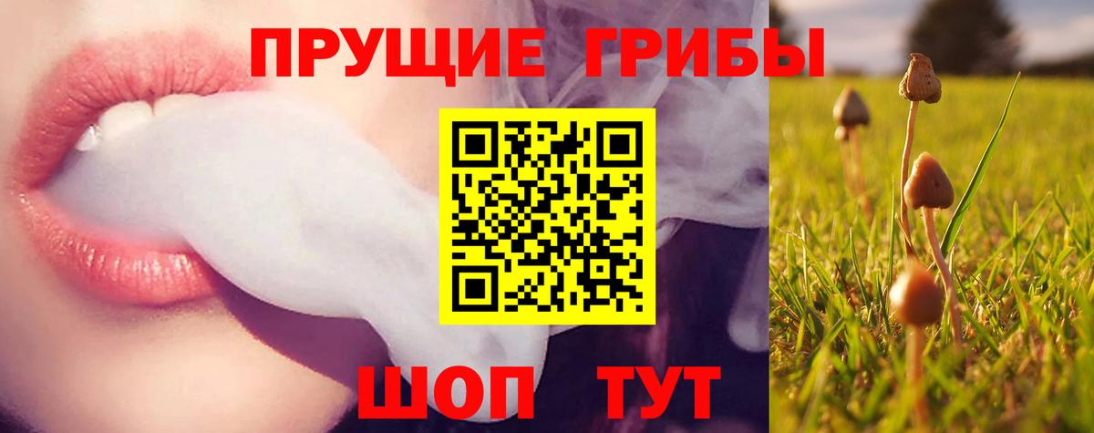 Галлюциногенные грибы ЛСД Сальск